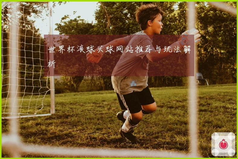 世界杯滚球买球网站推荐与玩法解析