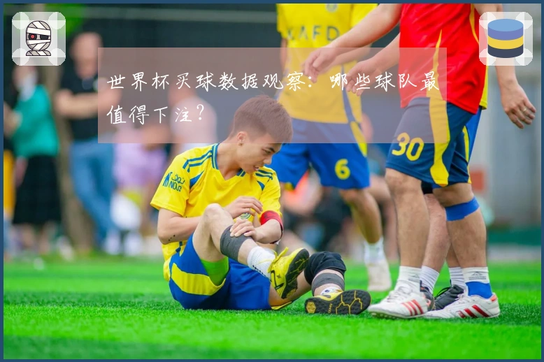 世界杯买球数据观察：哪些球队最值得下注？