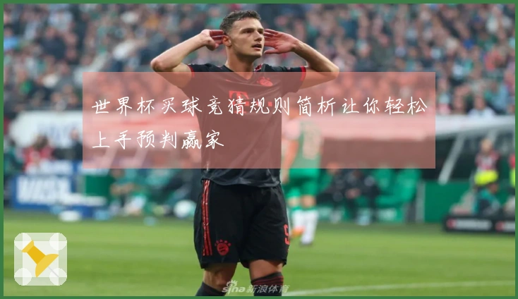 世界杯买球竞猜规则简析让你轻松上手预判赢家